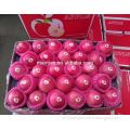 /msite/products/detail/productid/54855473/id/542998.html